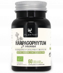 Harpagophytum biol�gico