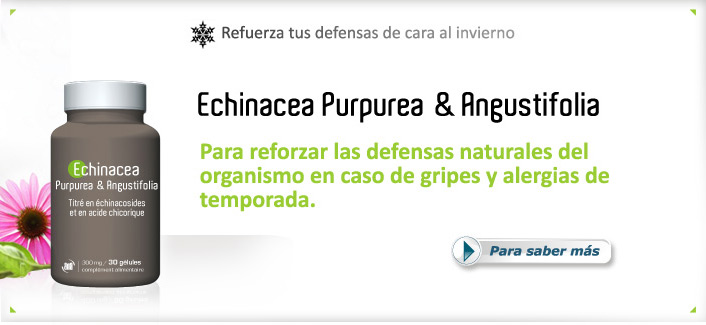 Echinacea Purpurea & Angustifolia