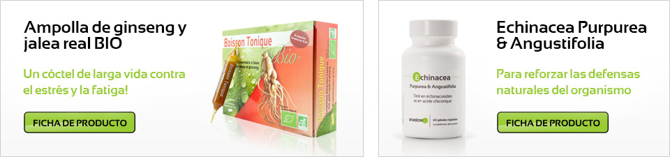 Ampolla de ginseng y jalea real BIO - Echinacea Purpurea & Angustifolia