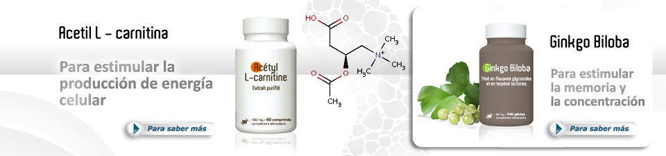 Acetil L - carnitina - Ginkgo Biloba