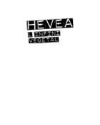 Hévéa