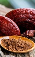 Beneficios de los hongos