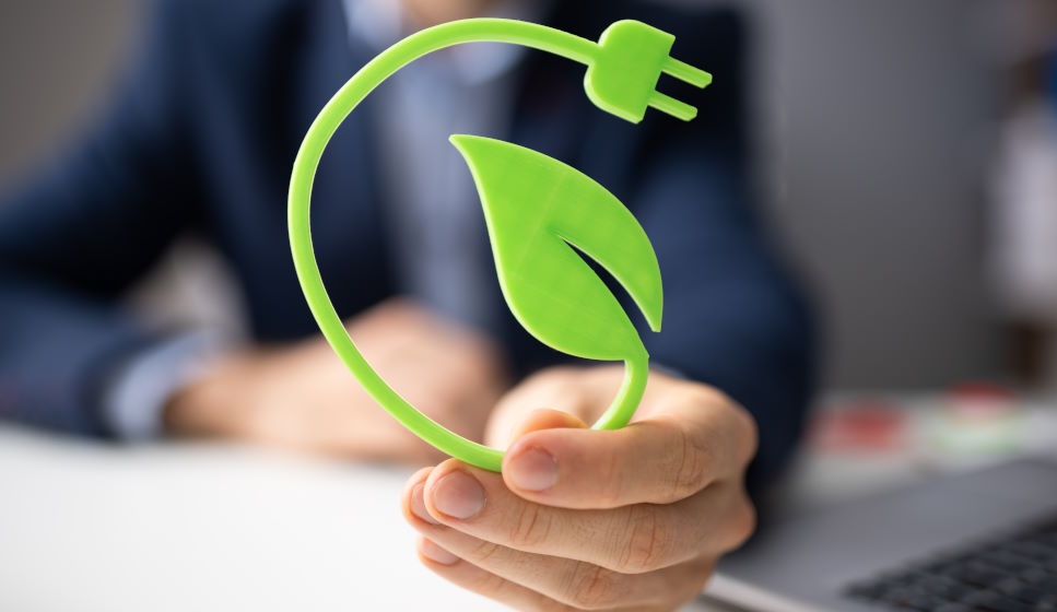 5 complementos para aumentar tu energía sin café | Alternativas naturales