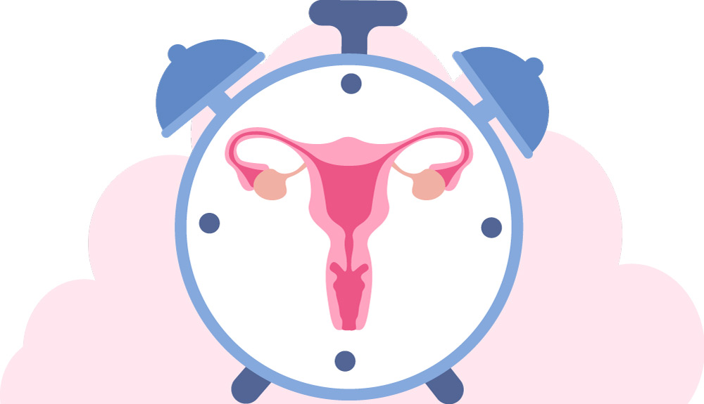 Lúpulo y Cohosh Negro: bienestar y descanso en la menopausia