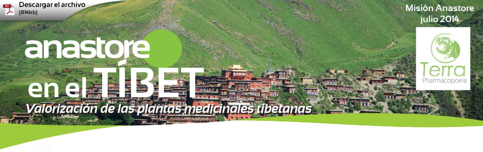 Anastore en el Tibet - Valorización de las plantas medicinales tibetanas