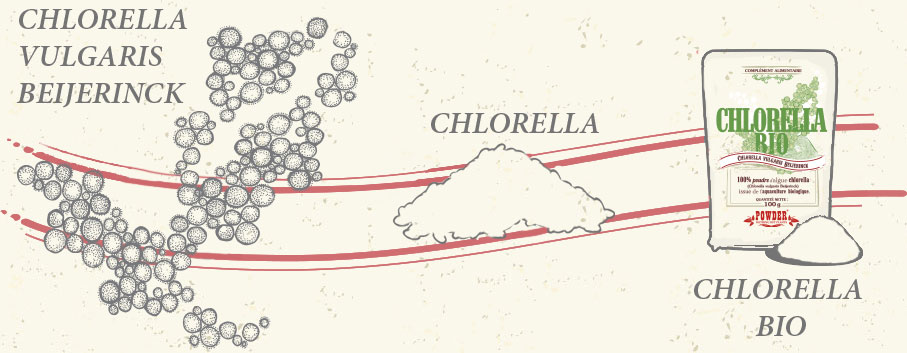 Chlorella POWDER