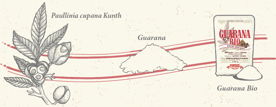 GUARAN&Aacute; ECOL&Oacute;GICO EN POLVO - GUARAN&Aacute; ECOL&Oacute;GICO EN POLVO POWDER