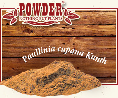 POWDER - GUARANÁ ECOLÓGICO EN POLVO