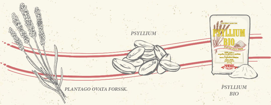 PSYLLIUM ECOLÓGICO EN POLVO POWDER