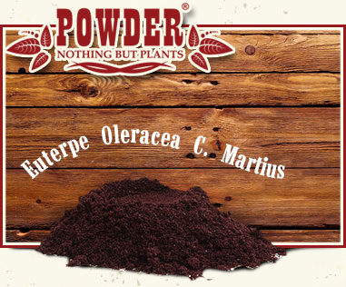 POWDER - ACAI