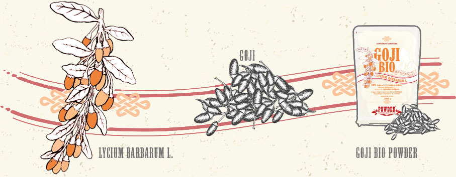 BAYAS DE GOJI - GOJI ECOLÓGICO POWDER