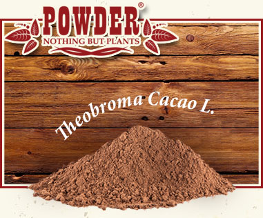 POWDER - CACAO CRUDO ECOLÓGICO EN POLVO