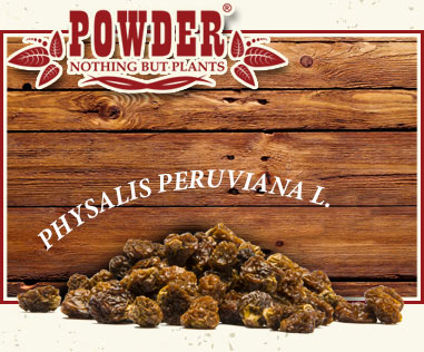 POWDER - BAYAS INCAS ECOLÓGICAS