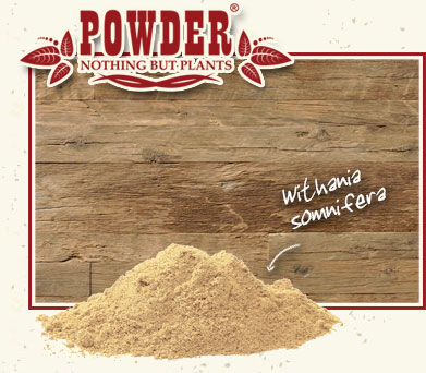 POWDER - ASHWAGANDHA ECOL&Oacute;GICA
