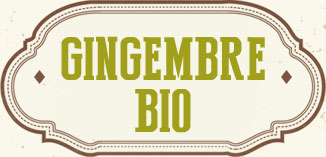 RIZOMA DE JENGIBRE