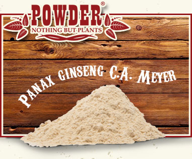 POWDER - GINSENG BLANCO ECOLÓGICO EN POLVO