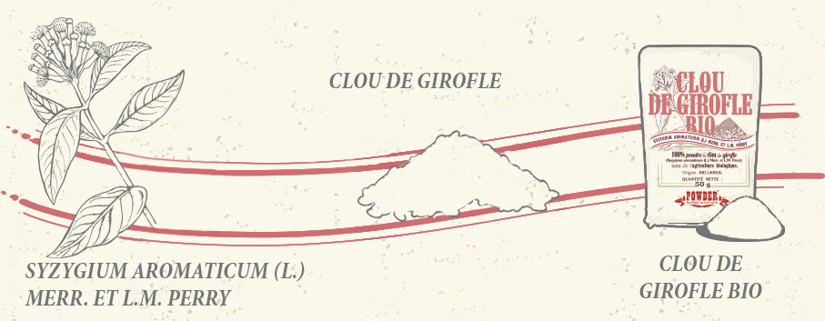 CLAVO ECOLÓGICO POWDER