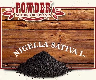 POWDER - COMINO NEGRO