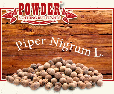 POWDER - PIMIENTA BLANCA BIO