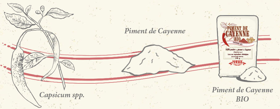 PIMIENTA DE CAYENA POWDER
