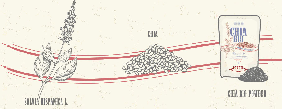 Salvia hispanica - CHIA - CHIA ECOLÓGICA POWDER