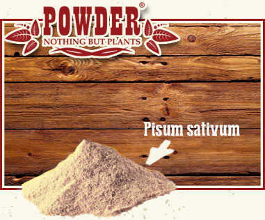 POWDER - PROTEÍNA DE GUISANTE EN POLVO