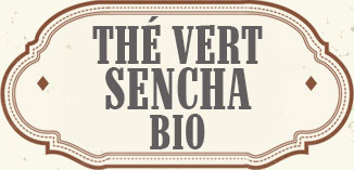 TÉ VERDE SENCHA ECOLÓGICO