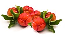 Acerola Ecológica