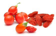 Goji (<em>Lycium barbarum</em>)