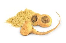 Maca Andina Ecológica