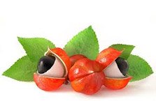 Guaraná <span style='color:#F00;'>Power</span><sup>®</sup> 