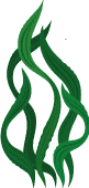 Cultivo