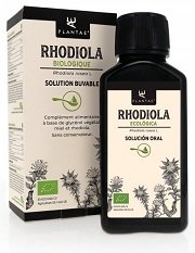 Rhodiola