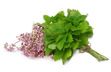 Melisa + Valeriana