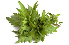 Lúpulo + Cohosh negro