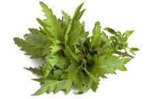 Lúpulo + Cohosh negro