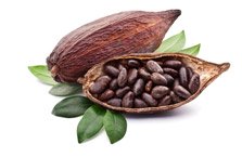 Proteína Max Definition