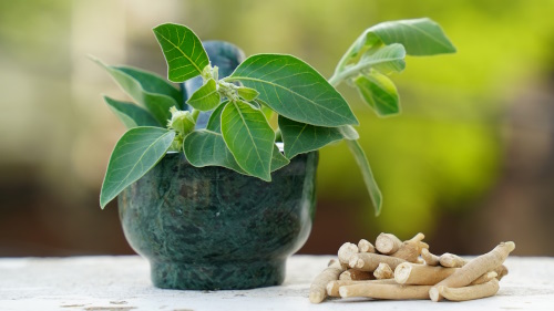 Ashwagandha