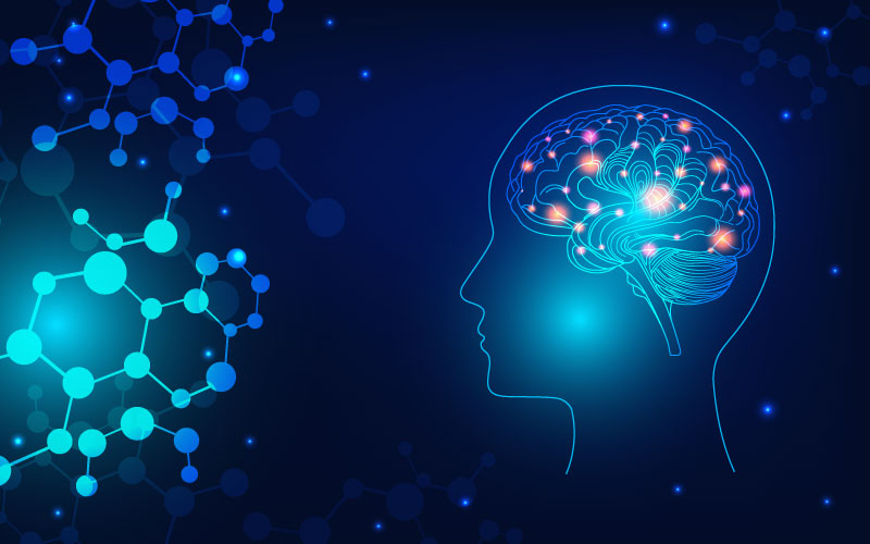 Cerebro futurista