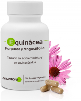 Equinácea Purpurea y Angustifolia