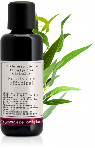 Aceite esencial de eucalipto