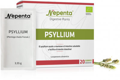La planta que contribuye al buen tránsito intestinal