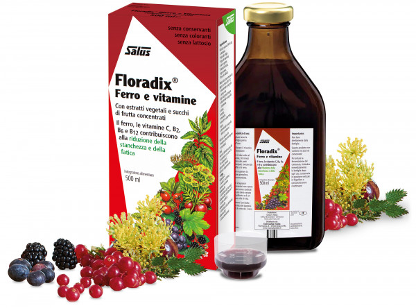 Floradix® Hierro + Vitaminas