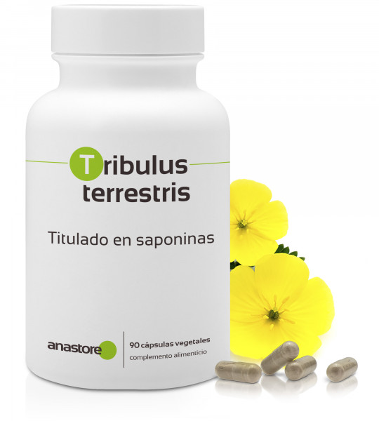 Tribulus terrestris