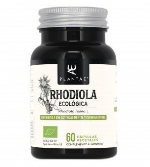 Rhodiola Ecológica