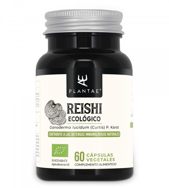 Reishi Ecológico