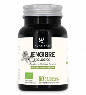 Jengibre Ecológico
