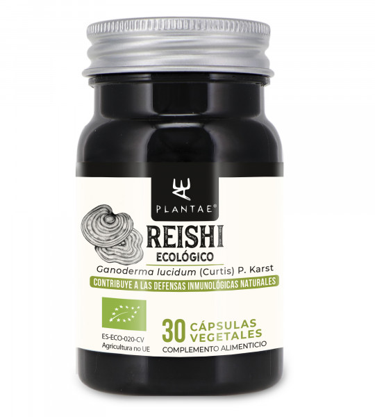 Reishi Ecológico