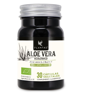 Descubre los beneficios del aloe vera en cápsulas para una buena digestión