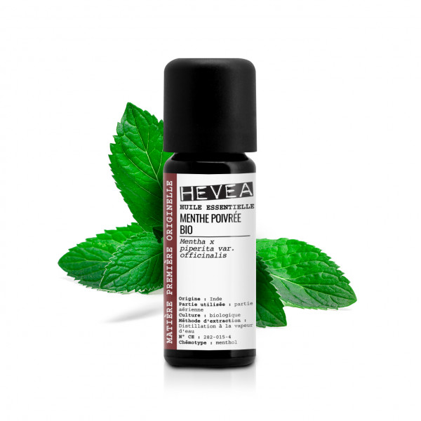 Aceite esencial Menta piperita Bio